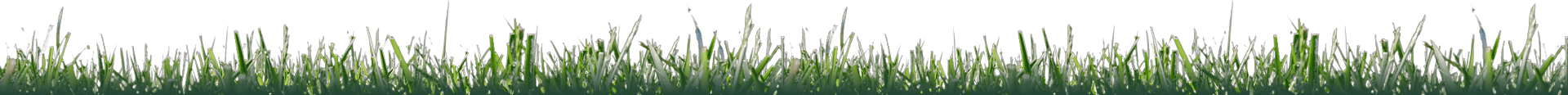 landscape-maintenance-37